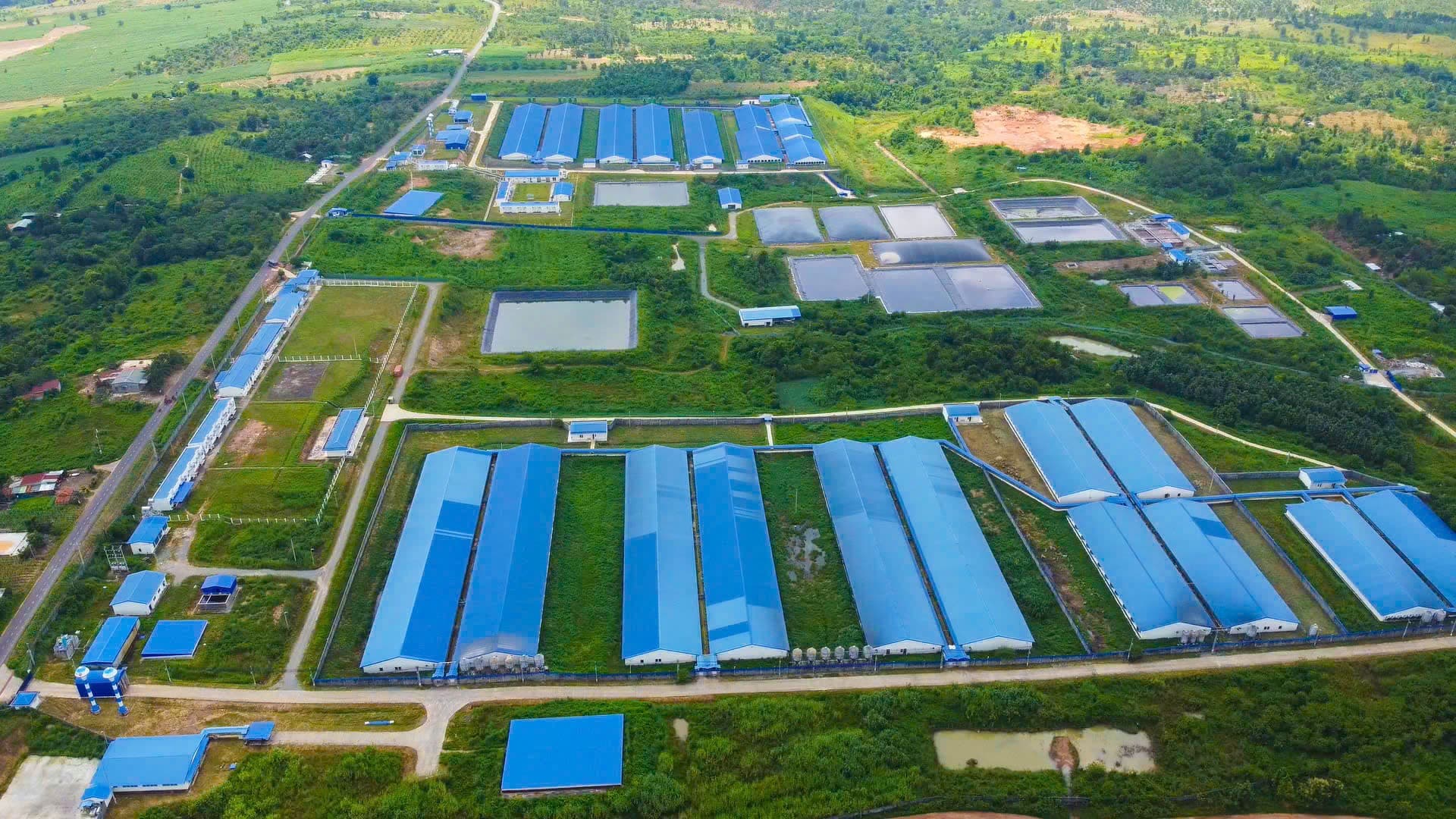 Trại chăn nuôi công nghệ cao Tây Ninh